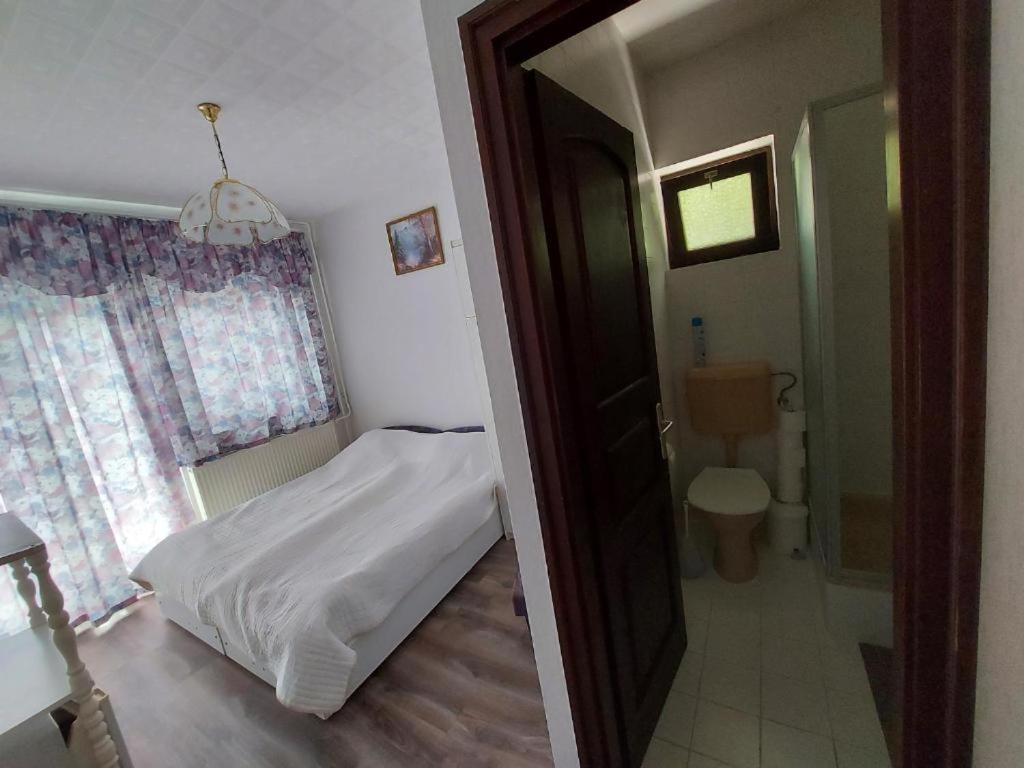 Istvan Apartmanok 凯斯特海伊 外观 照片